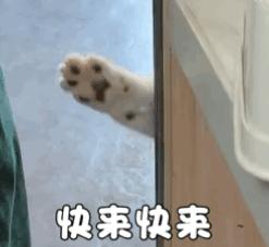 7个月宝宝米粉推荐测评,嘉宝全谷物米粉评测