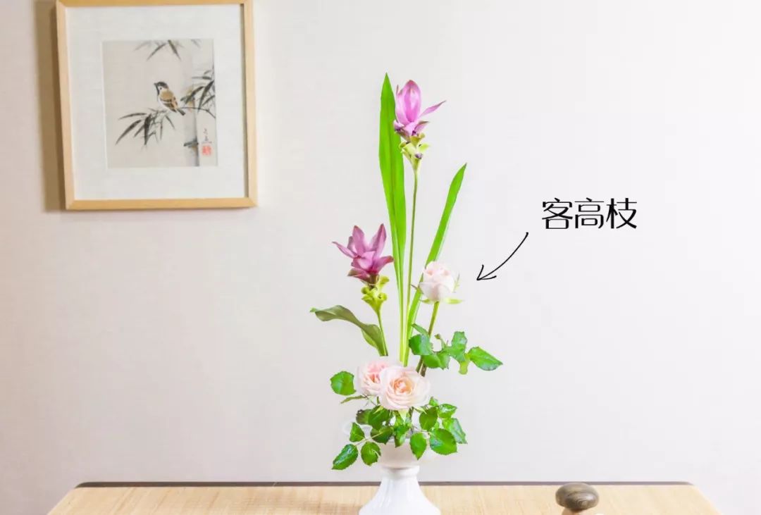 小原流花道国际标准教程,小流源花道入门教程视频