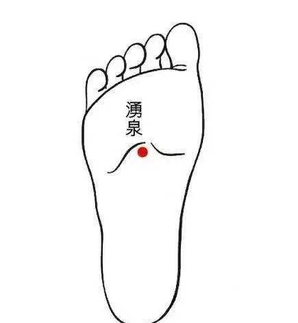 神机妙蒜蒜,神机妙算是什么