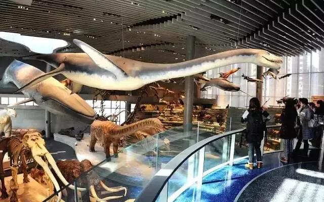 上海地铁沿线景点全部免费,上海地铁11号线上海赛车场