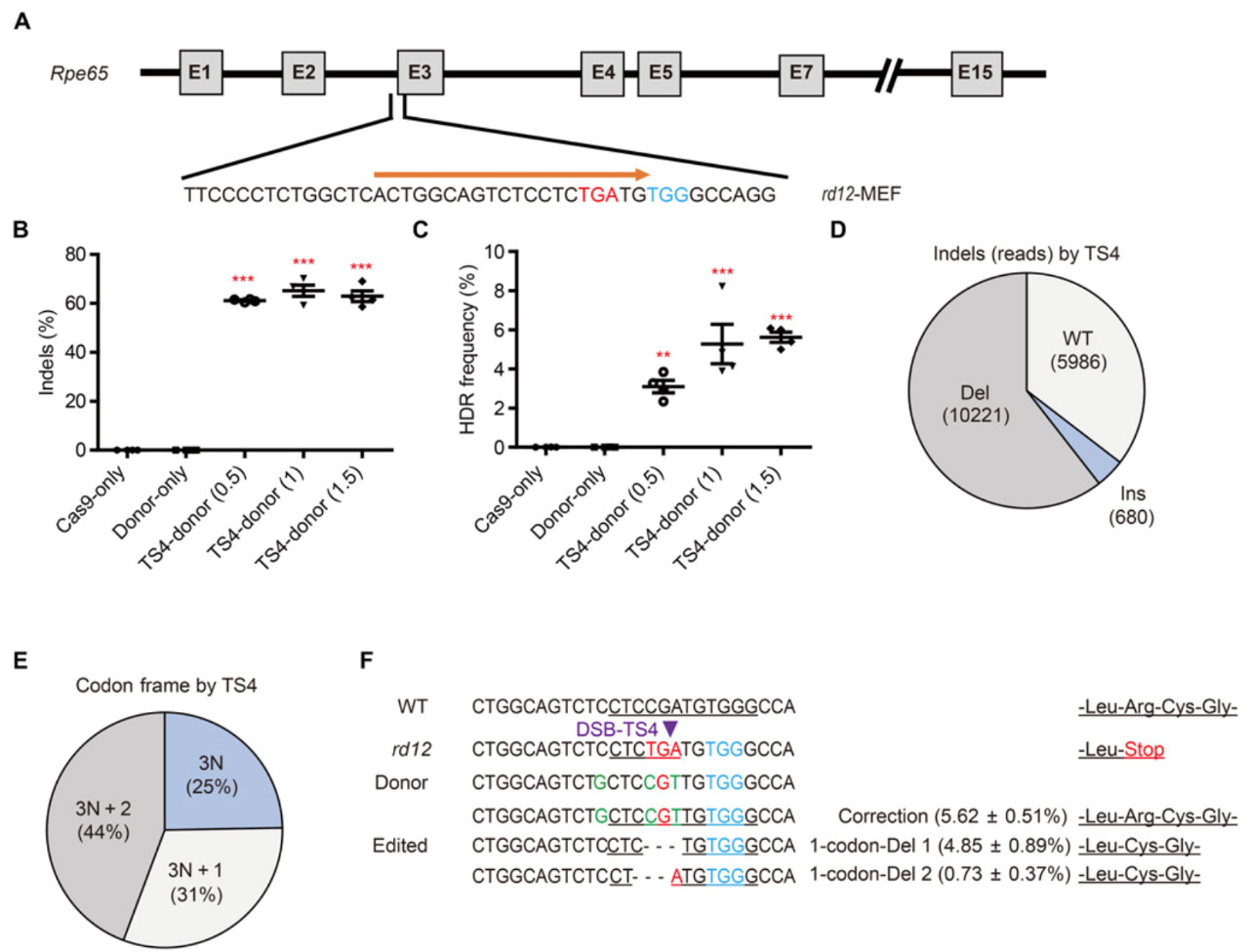 基因治疗眼睛失明中国最新进展,基因编辑治疗眼科疾病2019