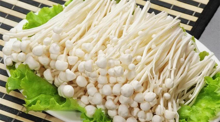 松树林常见的可食用蘑菇图片,常见可食用蘑菇