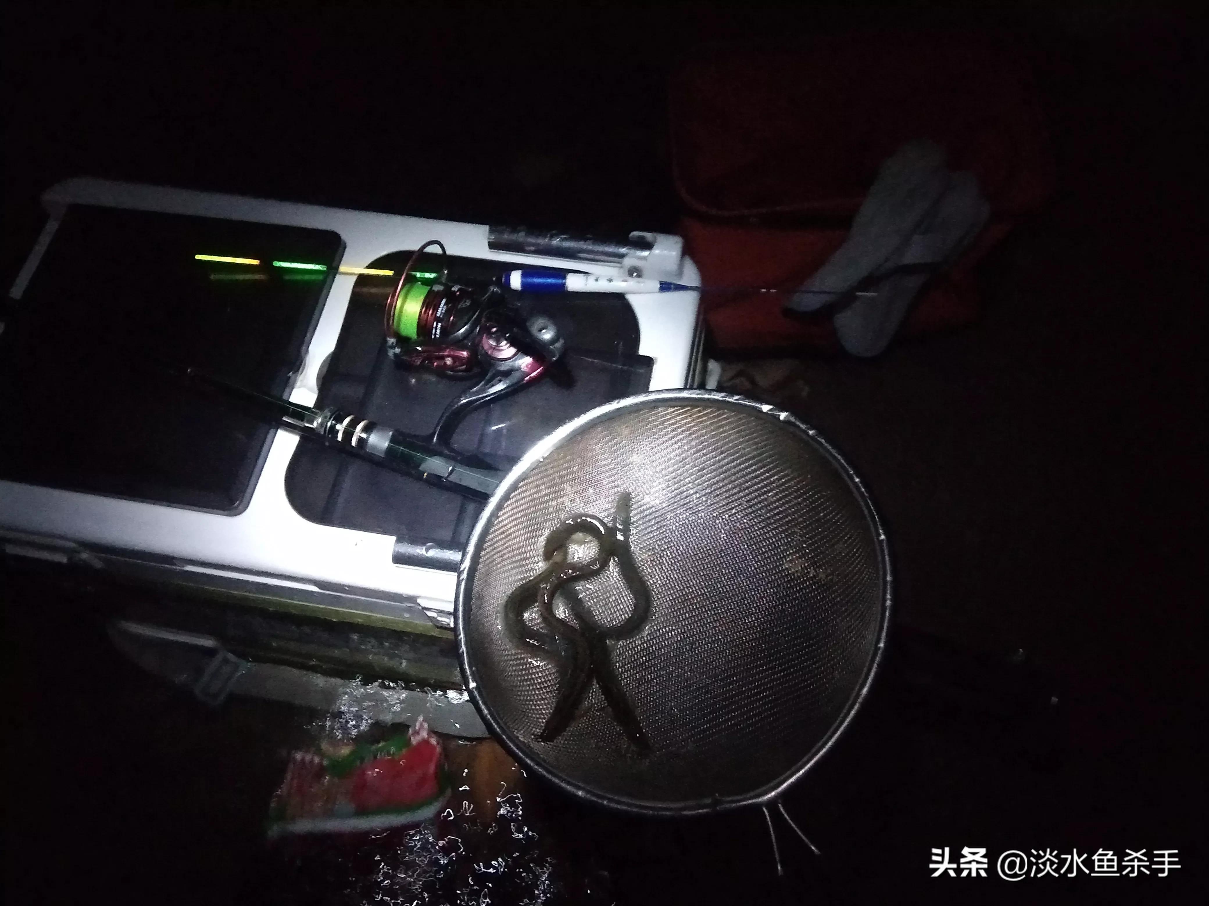 泥鳅党有什么危害,泥鳅党怎么处理