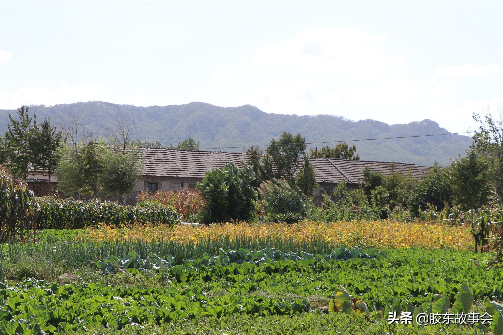 徐士林威海,徐士林个人资料