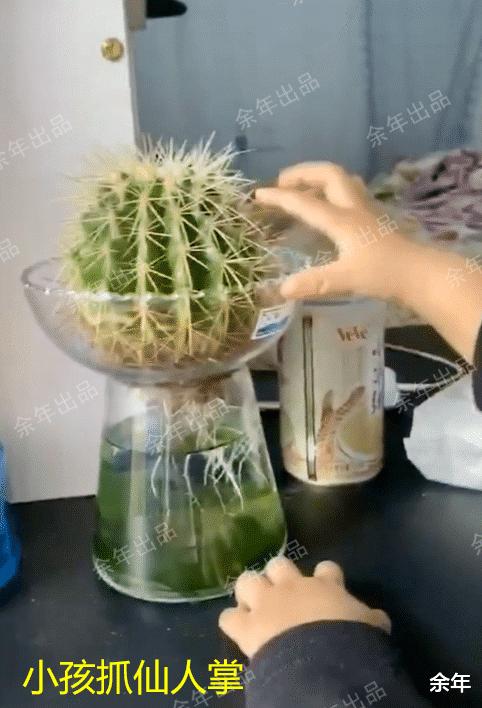 孩子被鱼刺卡住奶奶救了孙女,小孩被鱼刺卡住了哭一会又没事了