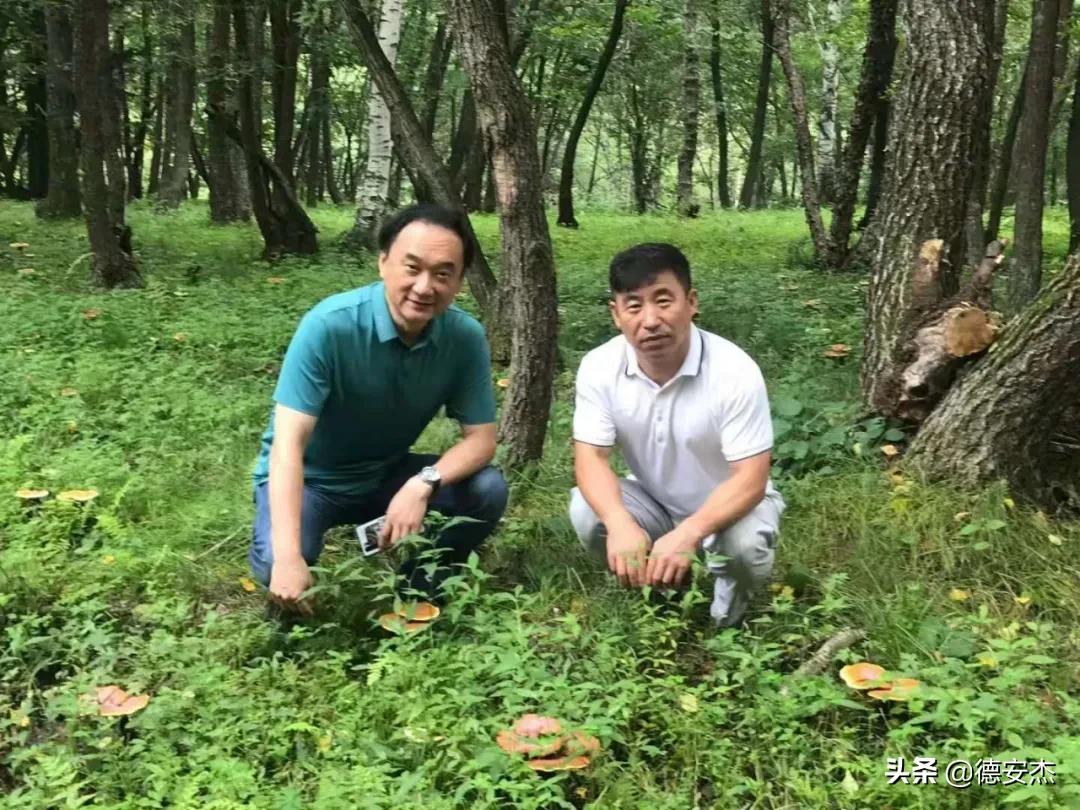 鍜岃皭涔℃潙鎸叴,鍜岀編涔℃潙鍔╁姏涔℃潙鎸叴