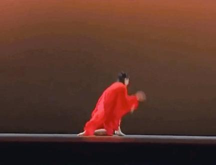 金星真的跳舞好看吗,金星在舞蹈中的成就有多大