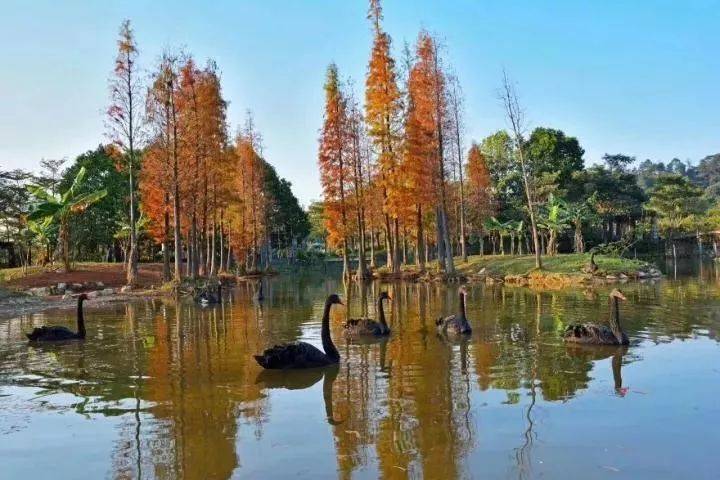 倒数狂欢夜,清远森波拉奇妙世界主题乐园住宿