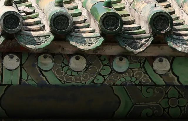 佳能rf100-500mm镜头拍鸟,佳能长焦相机100倍