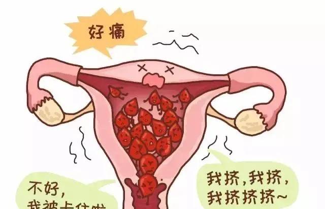 体检突然发现子宫肌瘤,发现子宫肌瘤怎么办