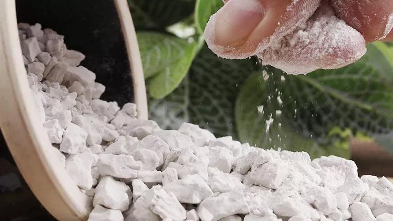 六安纯红薯粉粒|严选新鲜红薯，多份健康，多份安心