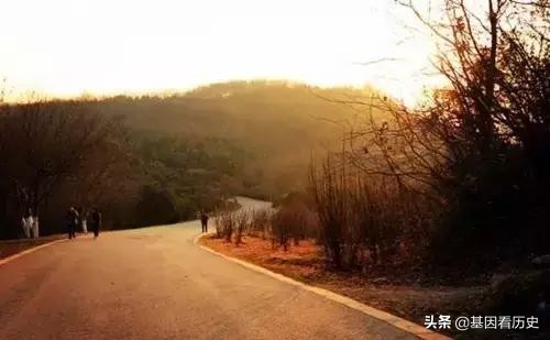 南京八大家族,南京十大姓氏排名前十