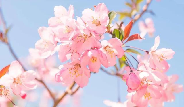 突然就想去旅游了,忽然间就想去厦门了