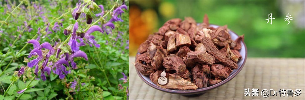 骨折中药要吃多久才有效,骨折一年多没愈合吃啥药好得快