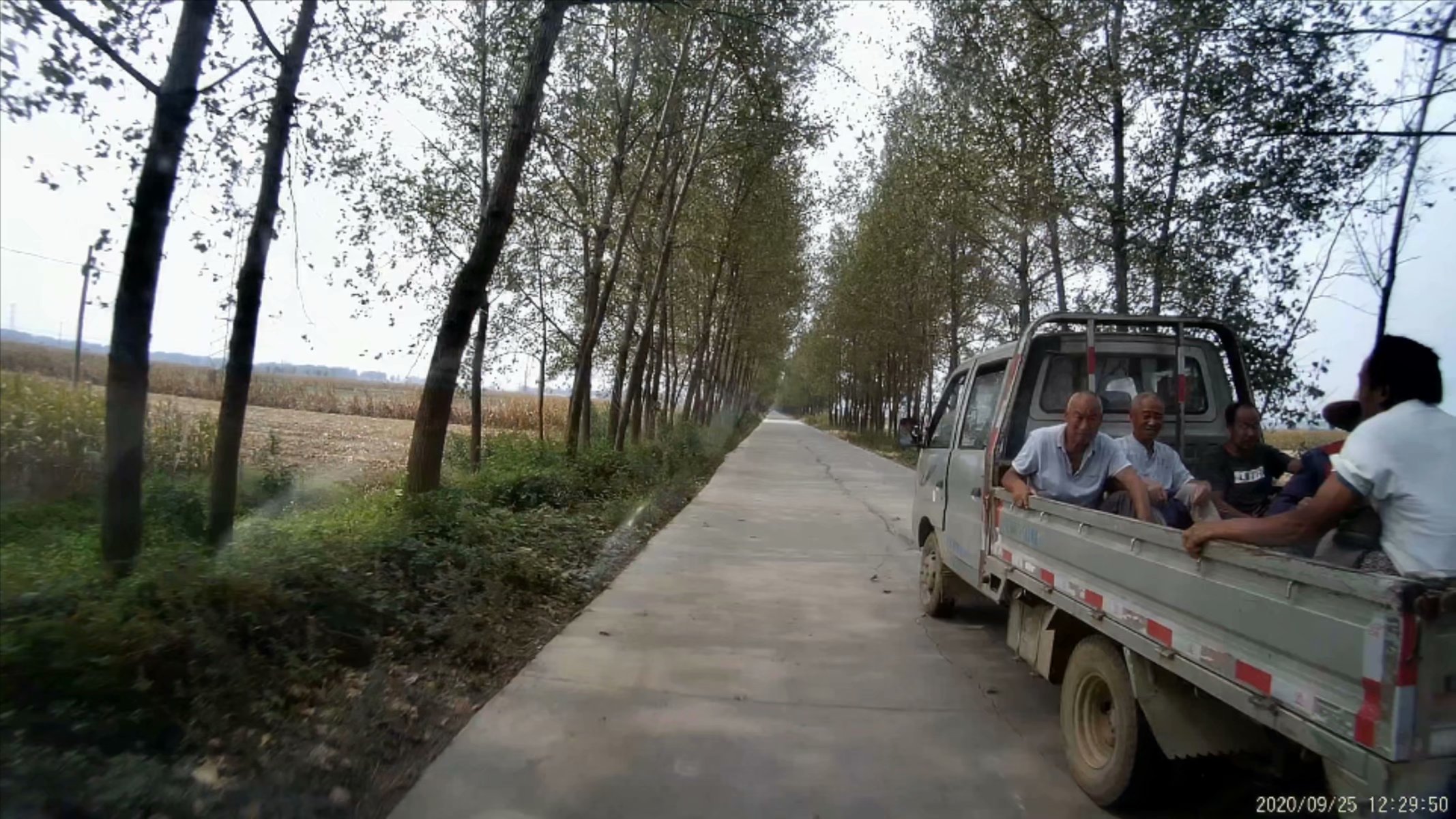 俞伯牙墓为什么在固镇,俞伯牙墓出土