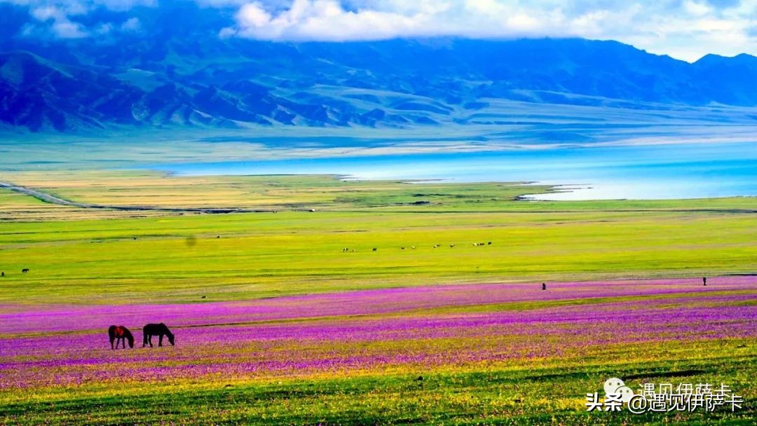 这个湖泊有韵味,有一个神秘而美丽的湖泊