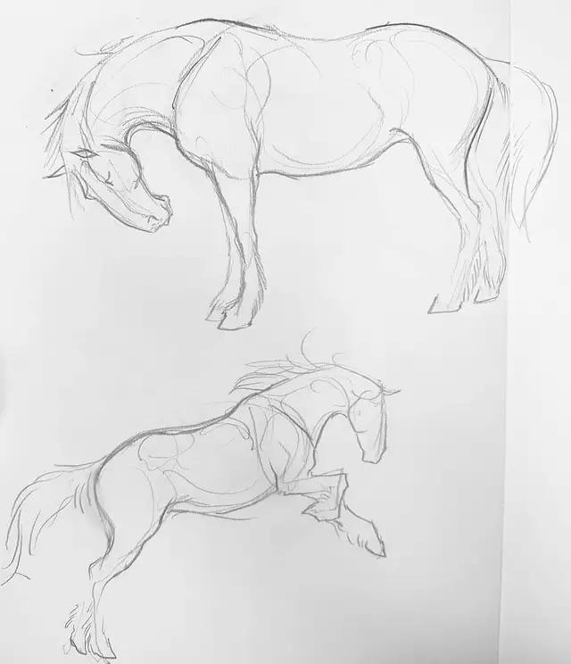 马怎么画简单图画,马怎么画更真实