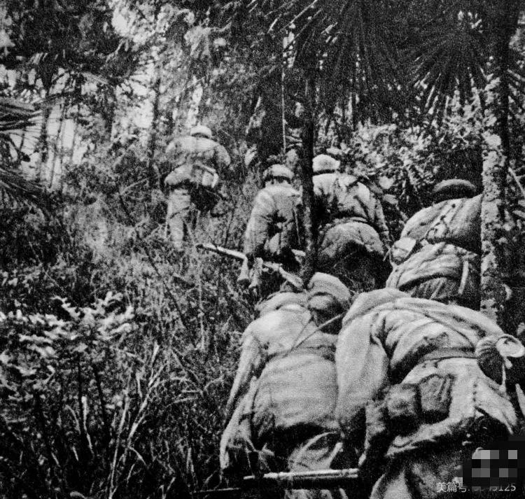 闽西剿匪记,漳平剿匪纪实