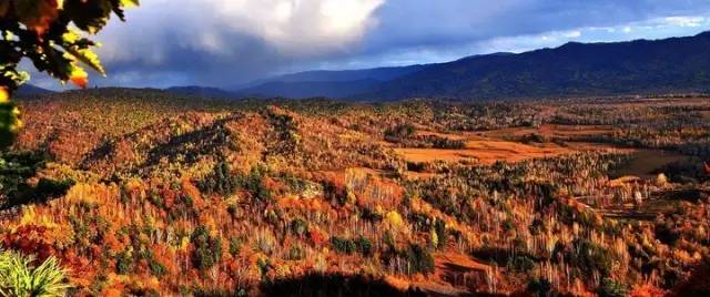 有人问你：哈尔滨哪个区（市）县最大哪个最小？都有啥？你知道不