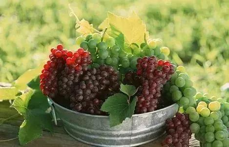 格鲁吉亚红酒有几个大品牌,格鲁吉亚的红酒假的多吗