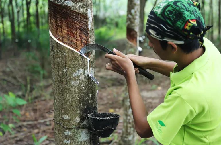 苏老伯乳胶床垫排名,苏老伯床垫靠谱吗