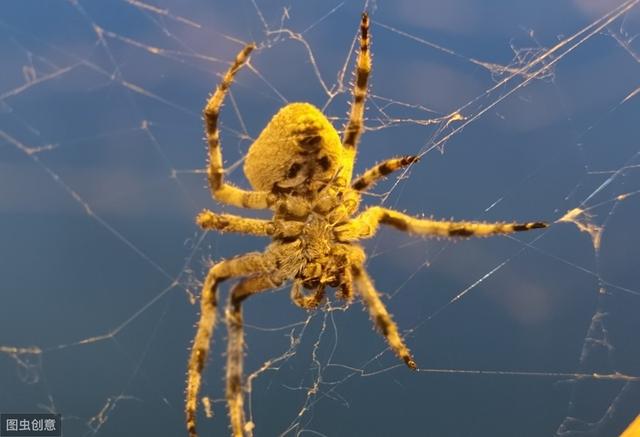 为什么会有奇怪的恐惧症,莫名害怕是恐惧症吗