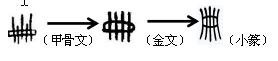 说文解字输字解释,说文解字是什么字典