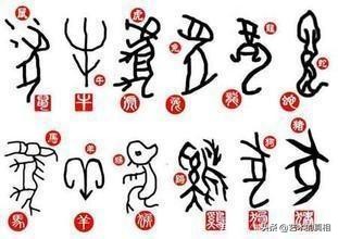 十二生肖中的象形字的演变,十二生肖字的演变