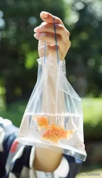 花了大价钱!去极地海洋馆玩买了这个……居然上不了9号线