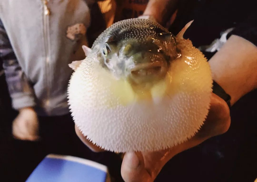 珍味｜吃完这盘料理，才算出生入死过的情侣