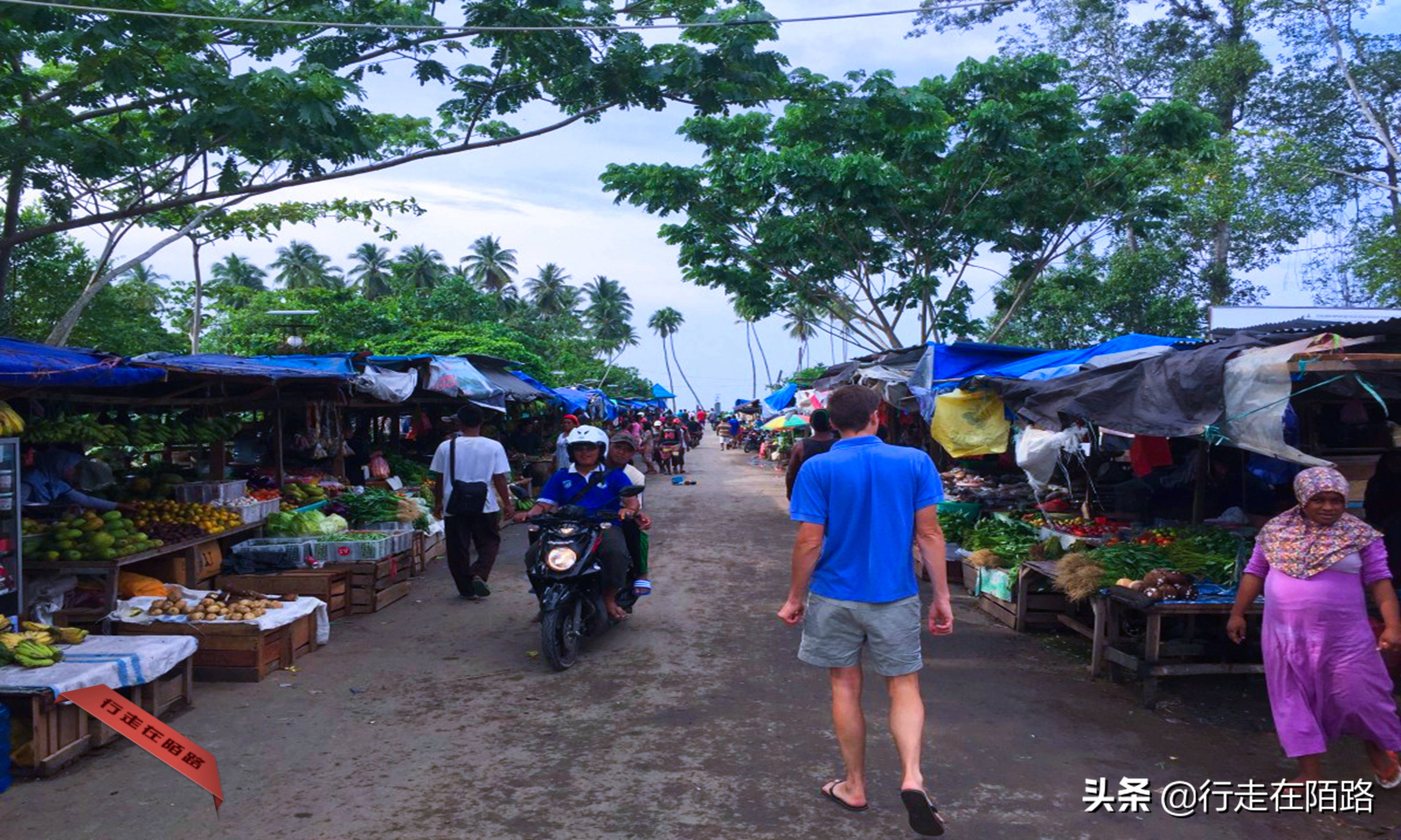 帕劳岛旅游,帕劳四王岛