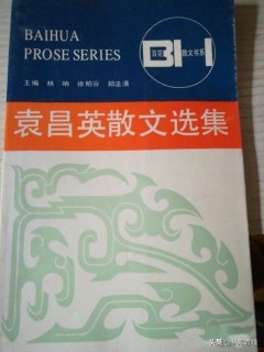 袁昌英的资料,袁昌英简介