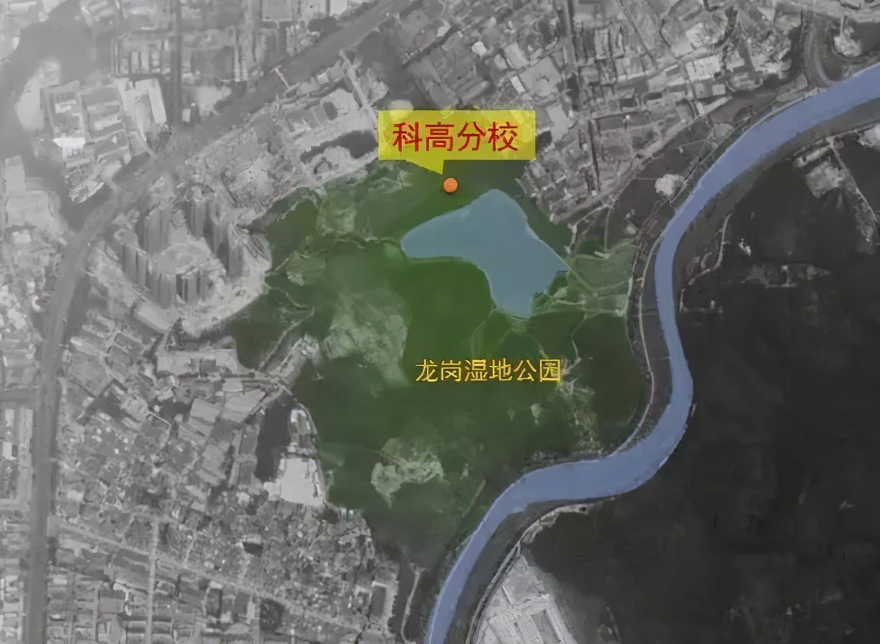 深圳四大八大十大中学各有几所,深圳的四大八大名校是哪些