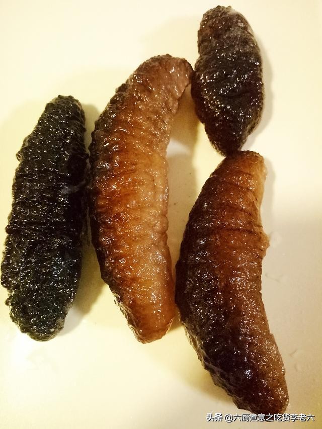 挑战吃每种海参的刺身,海参刺身吃法大全