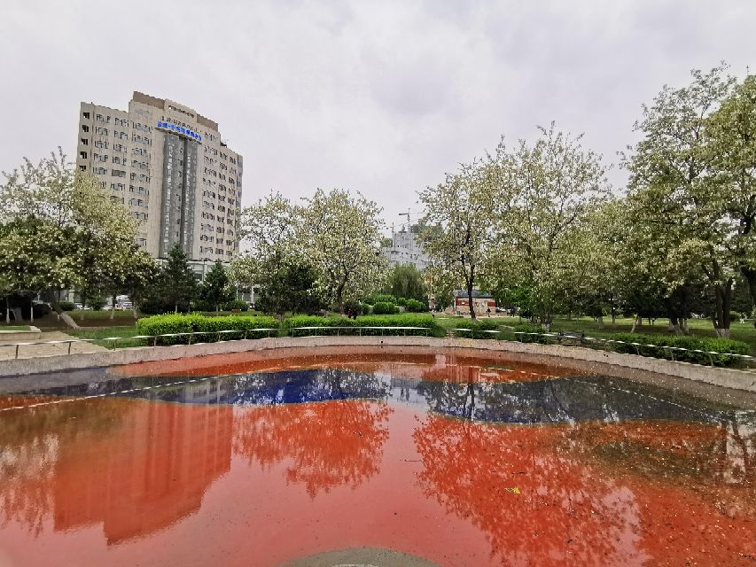 娌堥槼寮犲＋濂夎揪鍏洯,娌堥槼濂夎揪鍏洯