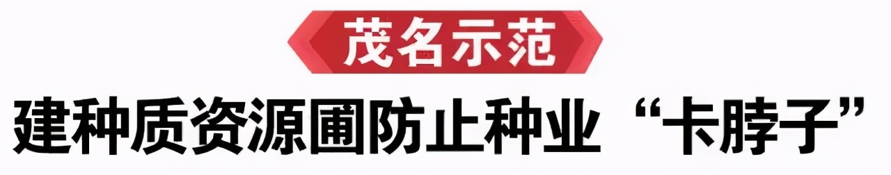 荔枝丰收季最新视频,荔枝丰收季广东