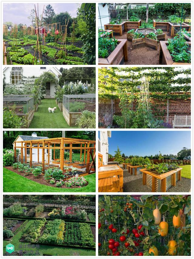 庭院菜园怎么设计最好看？264张案例图+布置详解！简直太实用了