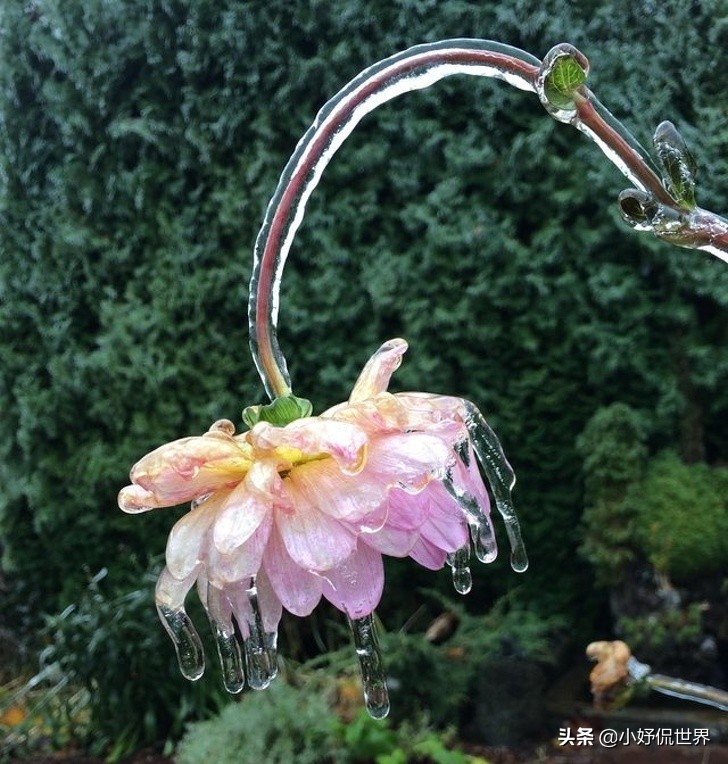 16张不可思议的照片竟然不是ps的,20张不是ps胜似ps的真实照片