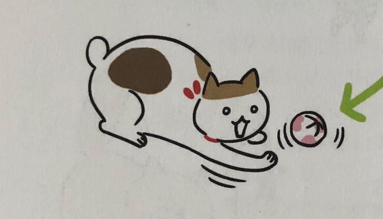 猫咪的玩具怎么动手操作呢,日常生活中该如何做猫咪的玩具