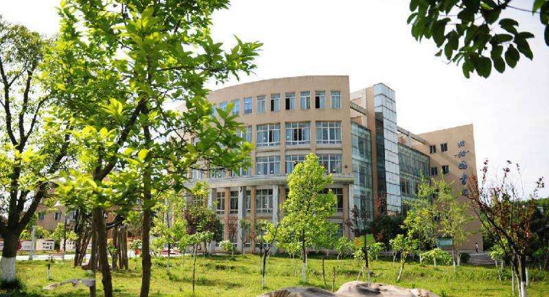 感恩有你愿时光温柔以待,感恩有你青春绽放