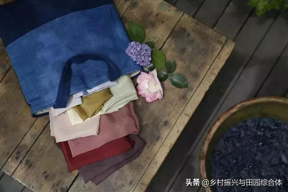 农学院对乡村振兴的促进作用,半农学院