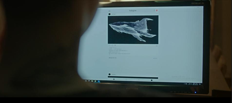 网络杀机电影真实事件,韩国电影网络犯罪