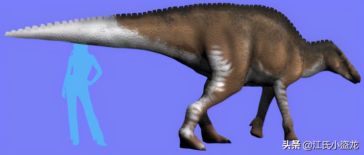 古生物时代有多少种恐龙,人类已经发现了多少恐龙种类