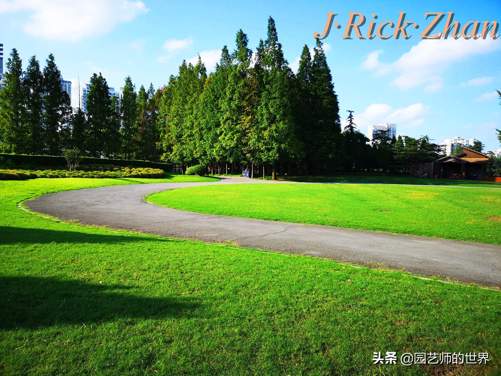 适合北方庭院种植的低矮草坪,家庭庭院怎样混搭种植草坪和蔬菜