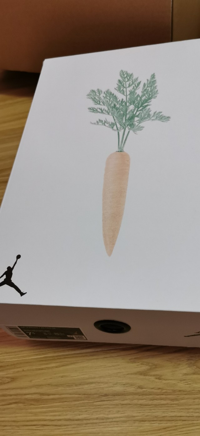 怪我太过美丽歌词,怪我太过美丽在线阅读