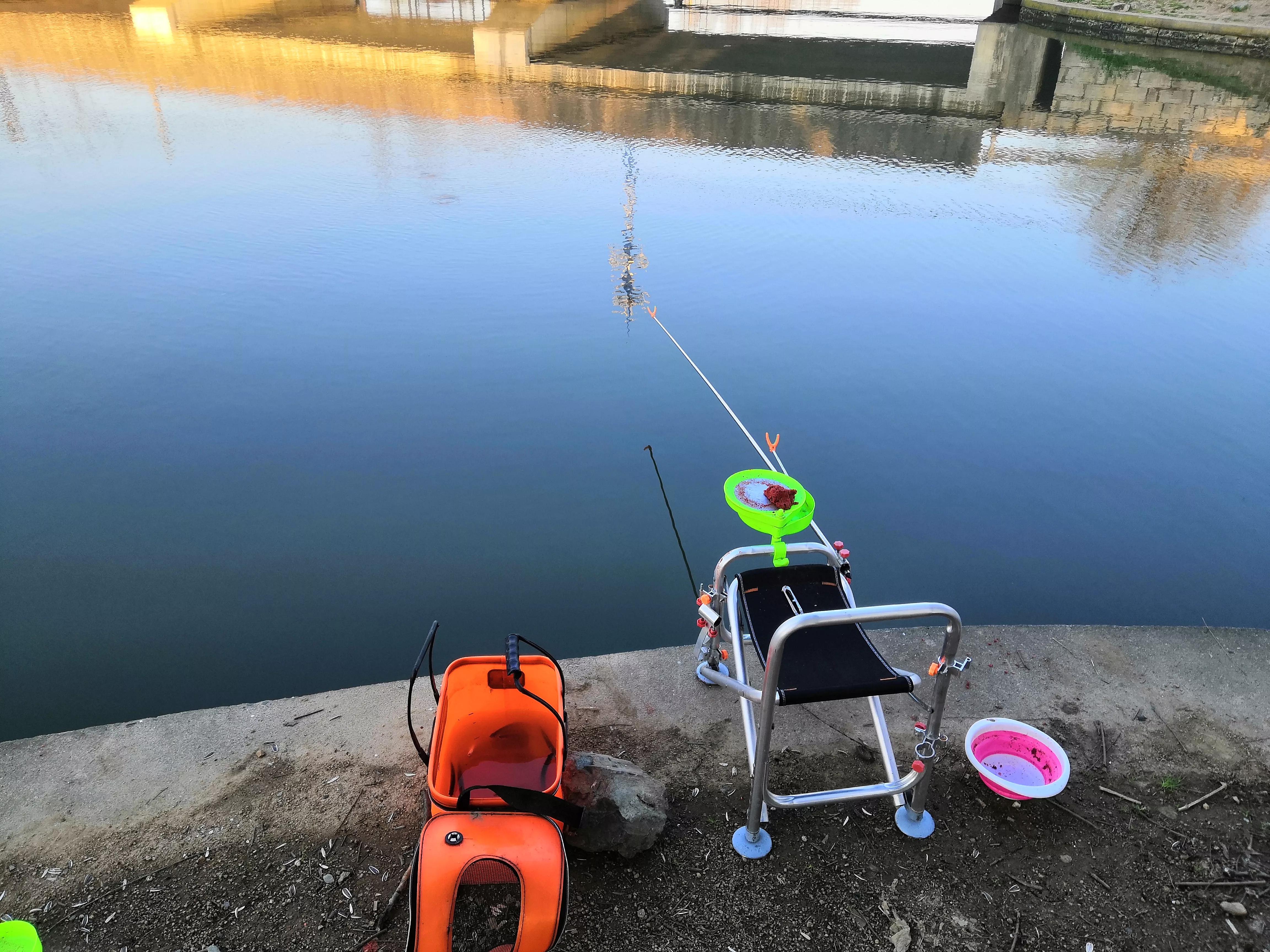 鲫鱼的“宿命”，上万条的繁殖能力，却因自身5大优势，数量骤降