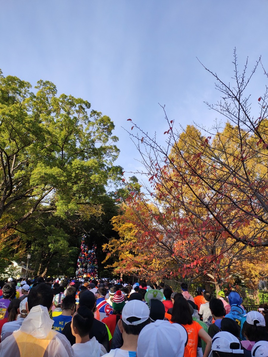 大阪马拉松跑道多少公里,日本大阪马拉松赛道怎么样