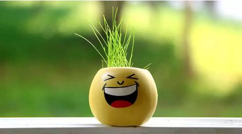 缓解孕吐的有效方法,缓解孕吐最快方法穴位