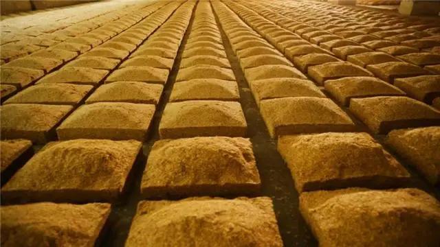 习酒今年破两百亿,习酒脱离茅台集团出的新品