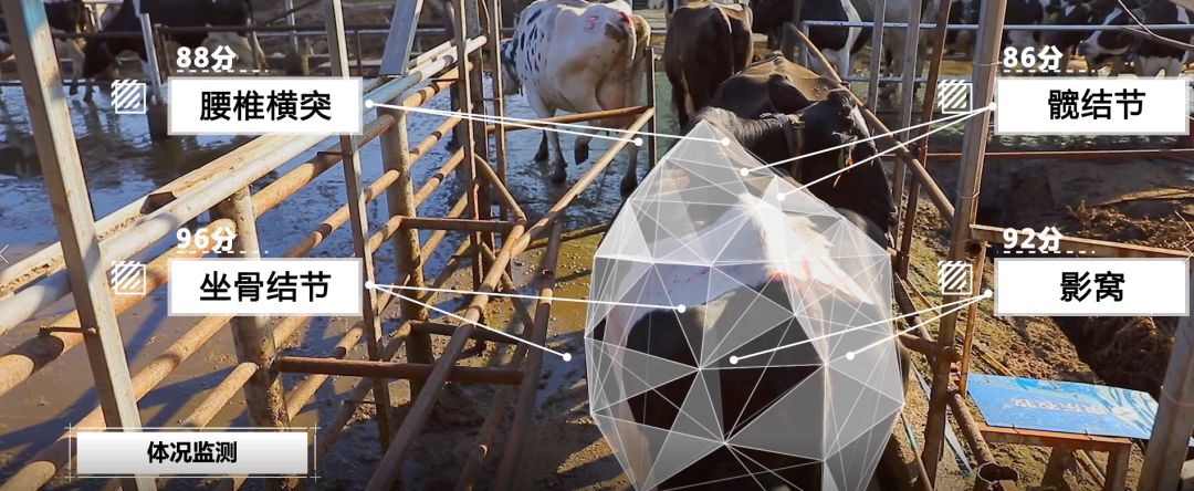 京东数科是做什么的,京东数科生意好吗